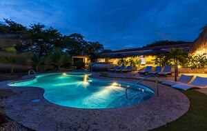 Elevated Elegance in the Costa Rican Canopy - Playa grande, Costa Rica
