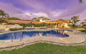 Elevated Elegance in the Costa Rican Canopy - Playa grande, Costa Rica