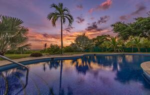 Elevated Elegance in the Costa Rican Canopy - Playa grande, Costa Rica