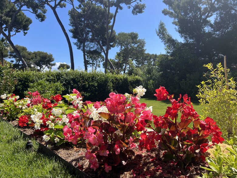 Elegant Mediterranean Retreat in Prestigious Cap d’Antibes - Cap d'Antibes, France