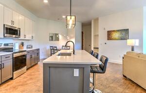 Stylish Condo in Downtown Asheville - Asheville, North Carolina