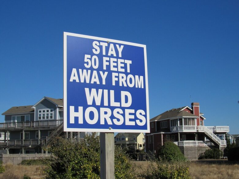 Ocean Views and Wild Horses | A Secluded Corolla Retreat - Corolla, North Carolina