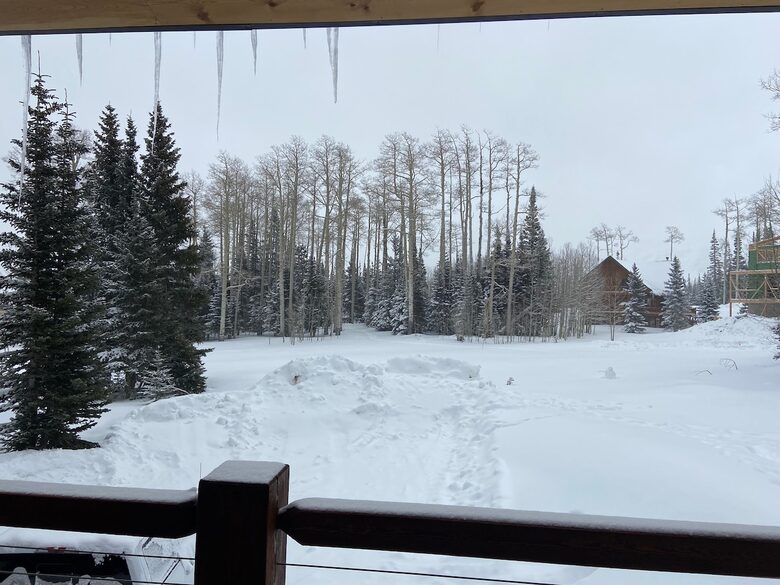 Ski-In/Ski-Out Retreat Nestled Among Pines and Aspens - Brian Head, Utah