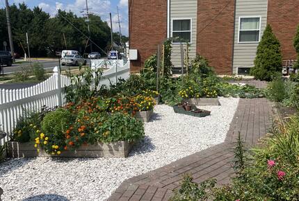 Organic veggie and herb garden