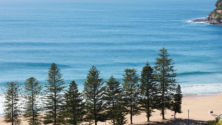 Elevated Elegance Above Whale Beach - Whale Beach, Australia