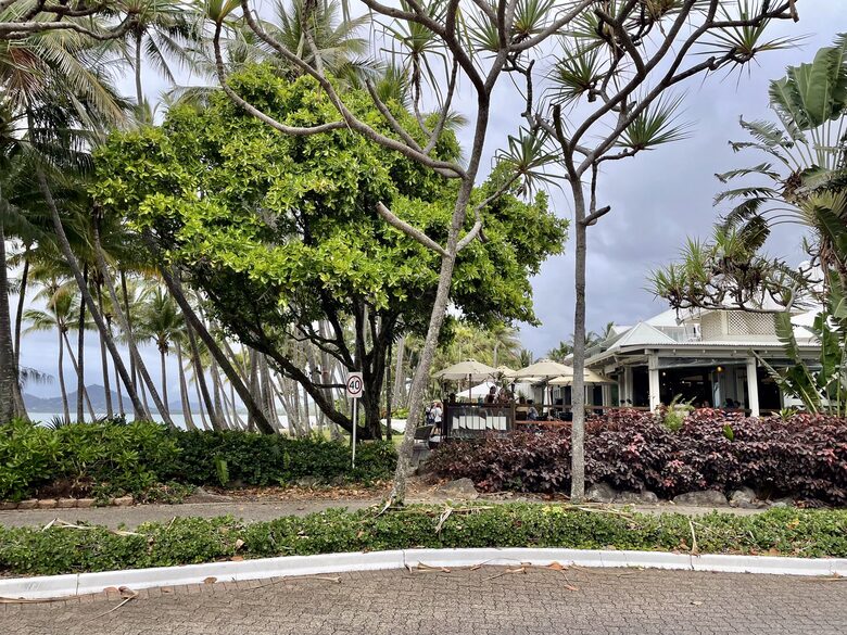 Charming Tropical Escape with Ocean or Pool Views - Palm Cove, Australia