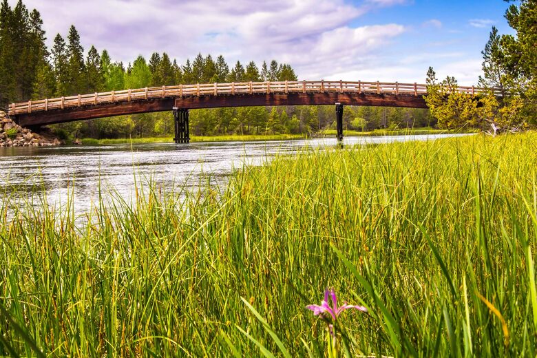 Elegant Escape Under the Pines - Sunriver, Oregon
