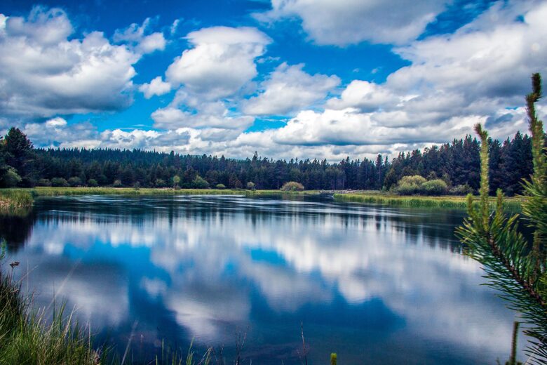 Elegant Escape Under the Pines - Sunriver, Oregon