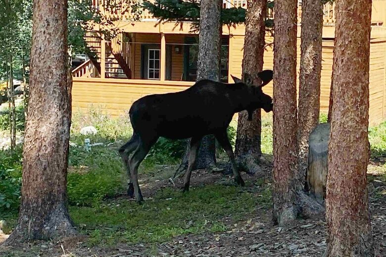 Breckenridge Lodge with Game Room & Hot Tub - Breckenridge, Colorado