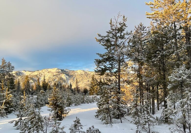 Forestview Escape Near Lake Cascade - Donnelly, Idaho