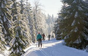 The Residence at Northstar - 3 Bedroom - Truckee, California