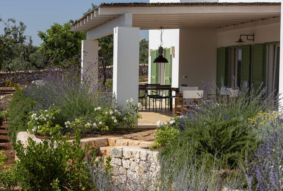 Timeless Apulian Retreat Amidst Olive Groves - Ostuni, Italy
