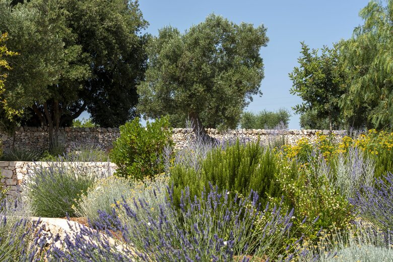 Timeless Apulian Retreat Amidst Olive Groves - Ostuni, Italy