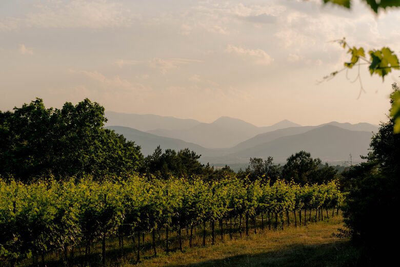A Premier Pyrenean Retreat – Luxury Lodge & Wellness Sanctuary - Girona, Spain