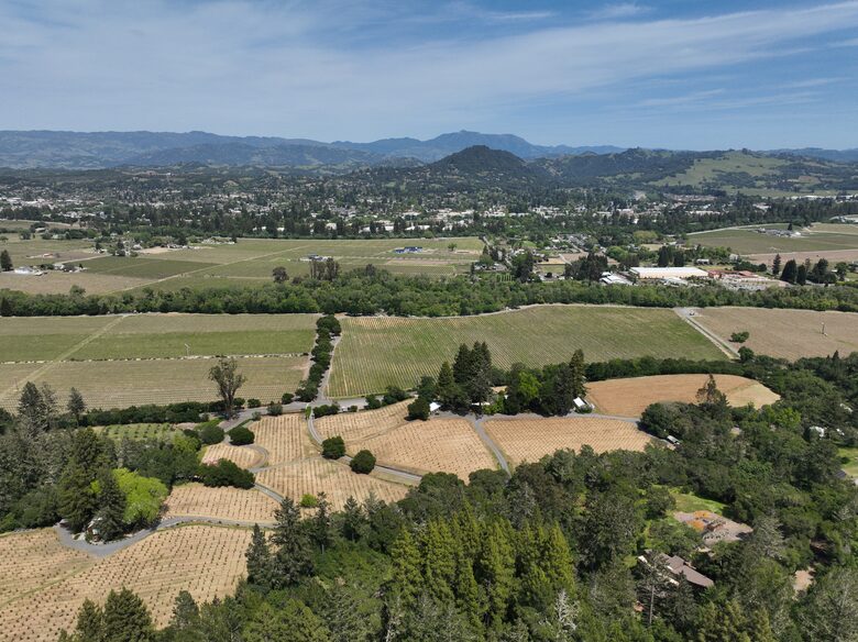 Private Wine Country Estate with Spa & Treehouse - Healdsburg, California