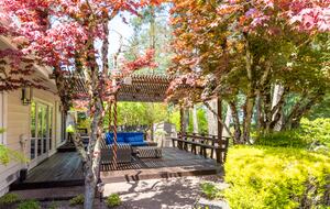 Private Wine Country Estate with Spa & Treehouse - Healdsburg, California