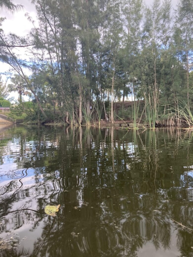 Inviting Florida Getaway with Outdoor Living & Water Access - Cape Coral, Florida