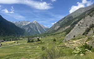 View from our backyard of  the vineyards