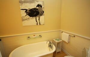 Calliope Cottage - North Captiva, Florida