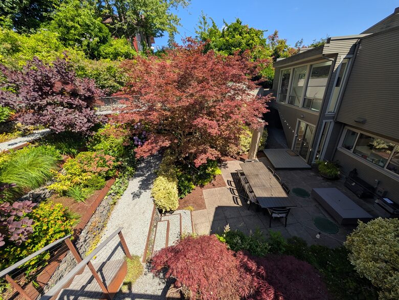 Backyard garden