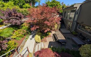 Backyard garden