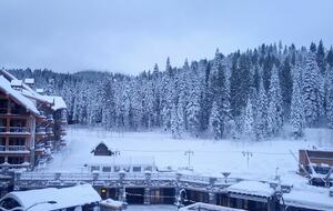 Great Bear Lodge 207 - Northstar at Tahoe - 4 Bedroom Residence - Truckee, California
