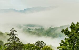 Rhinestone Retreat | A Stylish Mountain Escape Inspired by Dolly - Gatlinburg, Tennessee