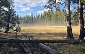 Exquisite Tahoe Rim Trail Haven - Tahoe City, California