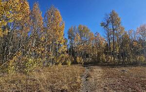Exquisite Tahoe Rim Trail Haven - Tahoe City, California