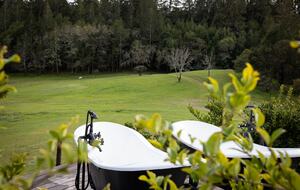 NewTree Ranch | Where Nature Meets Ultra-Luxury