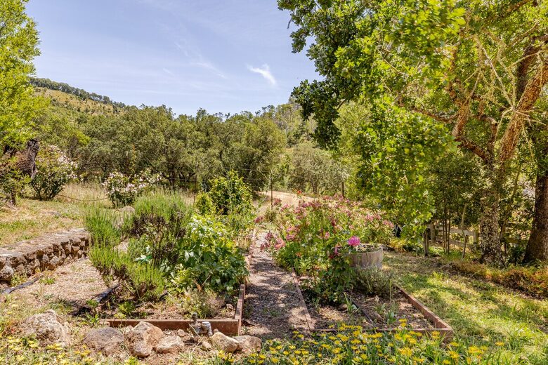 Hilltop Wine Country Estate with Pool & Views - Sonoma, California