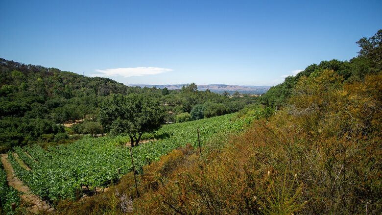 Hilltop Wine Country Estate with Pool & Views - Sonoma, California