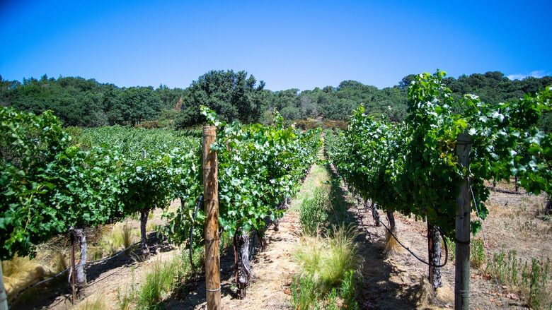 Hilltop Wine Country Estate with Pool & Views - Sonoma, California