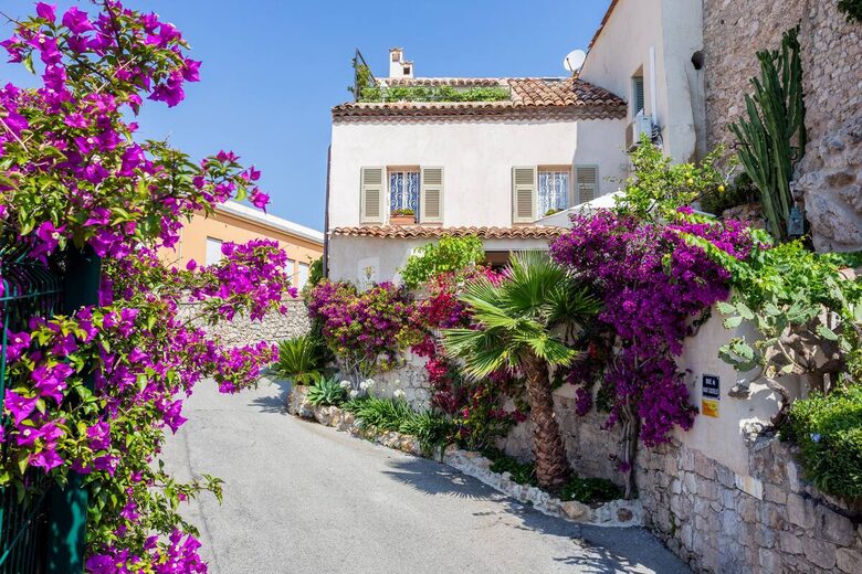 Clos des Vignes - Antibes, France