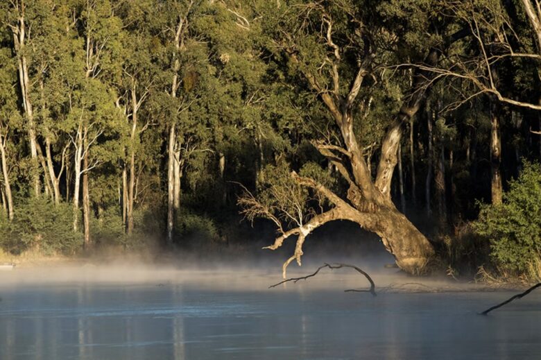 Nature-Infused Luxury in Victoria’s Highlands - Wheatsheaf, Australia