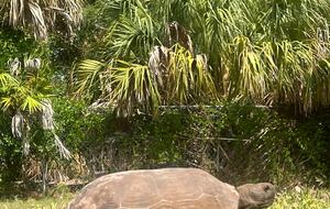 Naples Beach Escape with Saltwater Pool - Naples, Florida
