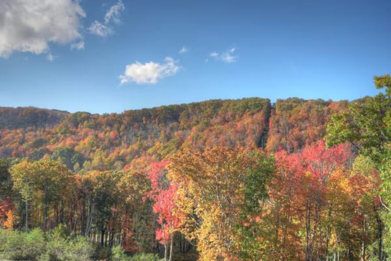 Serene Banner Elk Escape on 14 Private Acres - Banner Elk, North Carolina