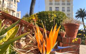 Belle Époque Restomod Apartment - Menton, France