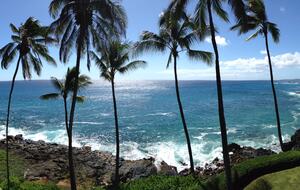 Stunning Oceanfront Penthouse - Poipu, Hawaii