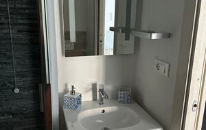 Forte dei Marmi Villa with Independent Guest Residence - Forte Dei Marmi, Italy