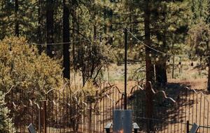 Big Bear Forest Retreat with Wraparound Deck - Big Bear Lake, California