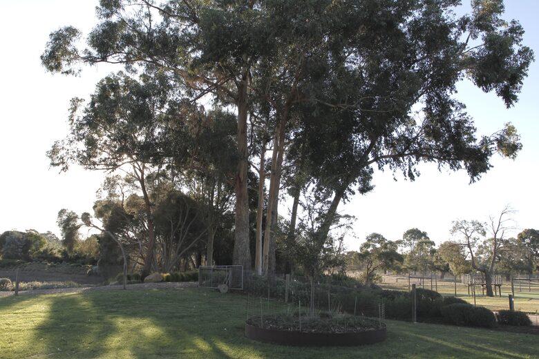 Countryside Grandeur with Private Lake and Tennis Court - Moorooduc, Australia