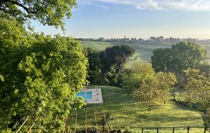 Villa San Lorenzo Umbrian Estate - Castiglione Del Lago, Italy