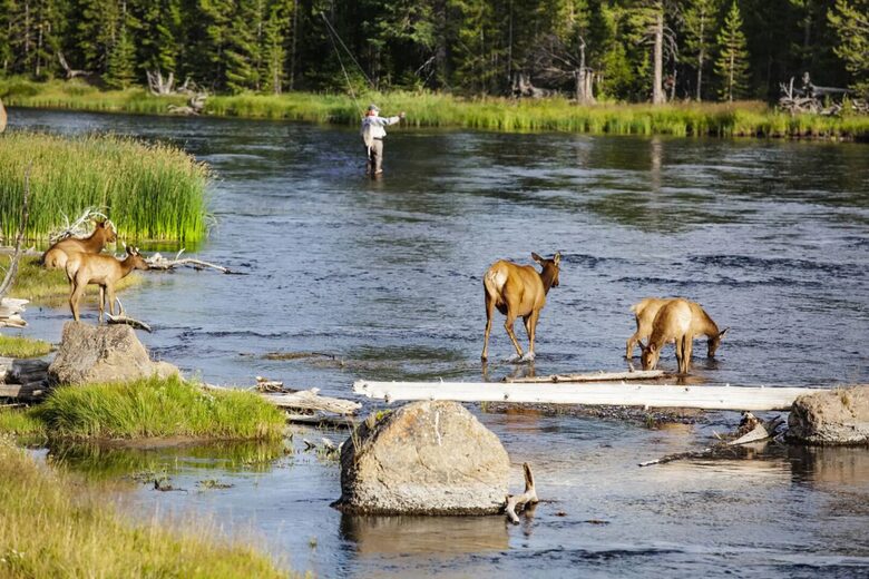 Warm River Butte with Grand Teton Views and Hot Tub - Ashton, Idaho