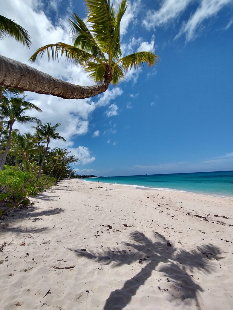 Paradise Island Retreat at Harborside - Paradise Island, Bahamas