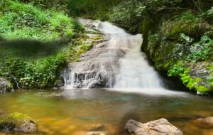 Private Mountain Retreat with 65' Waterfall & Natural Pool - Sylva, North Carolina