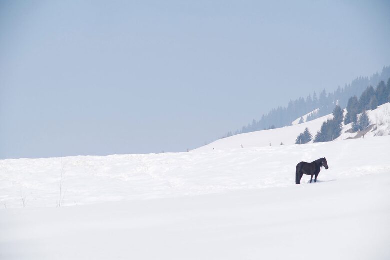 Alpine Elegance | A Sophisticated Megève Retreat - Megève, France