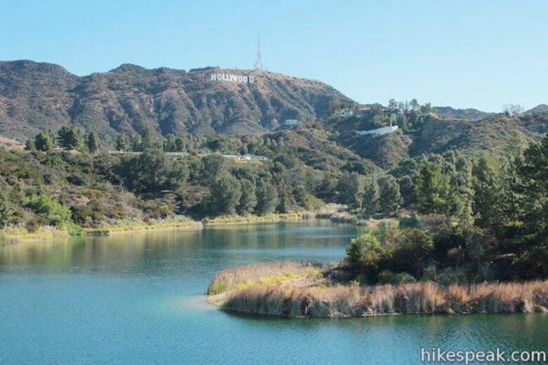 Modernist Hillside Haven with Panoramic LA Views - Los Angeles, California