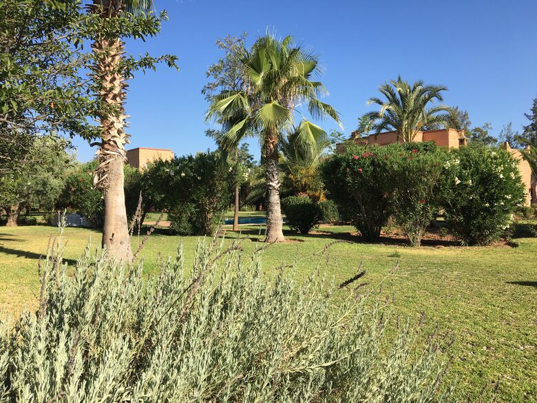 The garden…