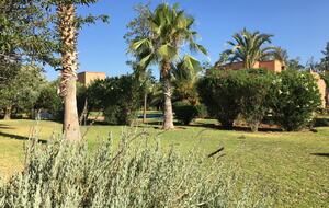 The garden…